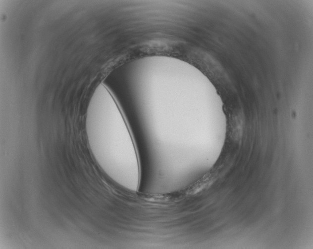 X0000084530232200702230846