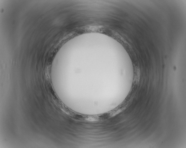 X0000084530236200702230846