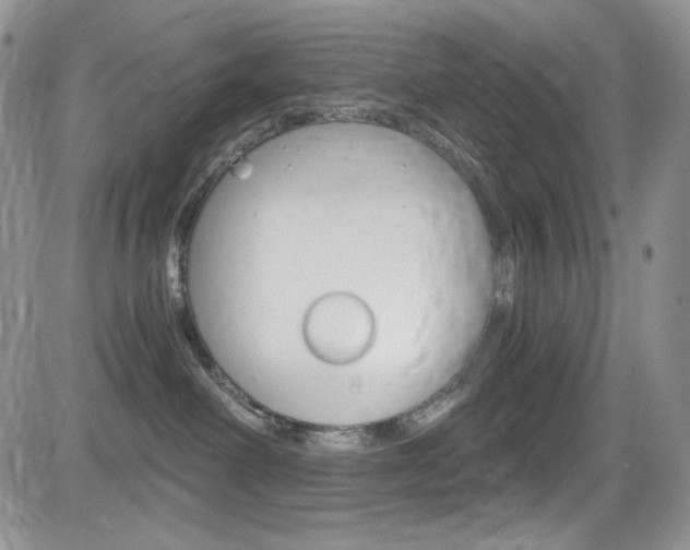 X0000084530238200702230846