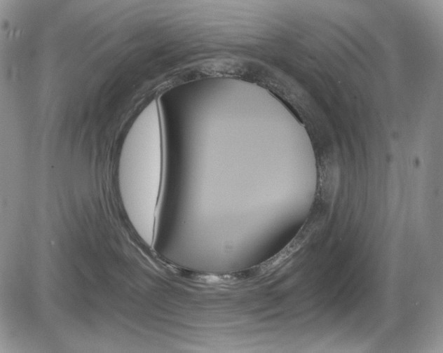 X0000084530239200702230846