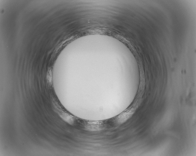X0000084530240200702230846