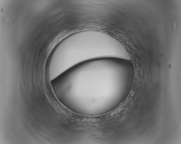 X0000084530242200702230845