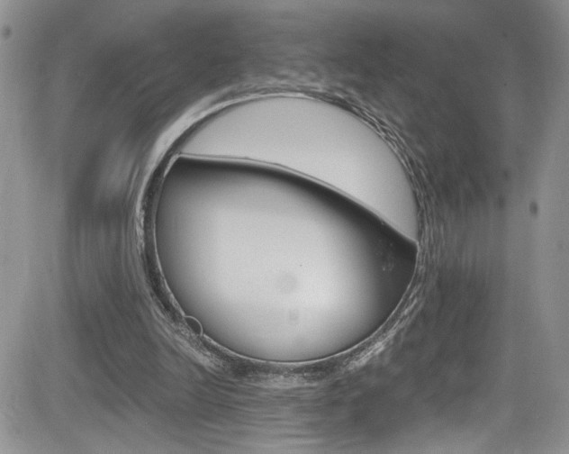 X0000084530246200702230845