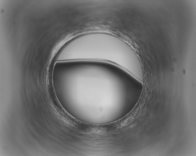X0000084530248200702230845