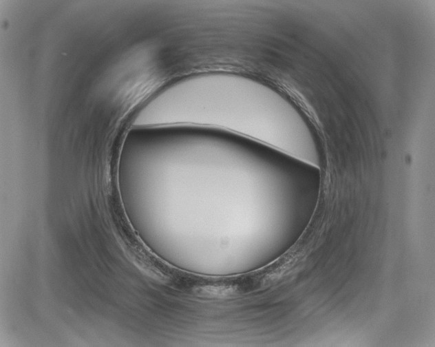 X0000084530251200702230845
