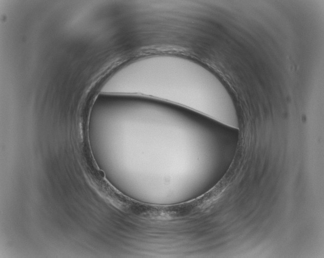 X0000084530254200702230846