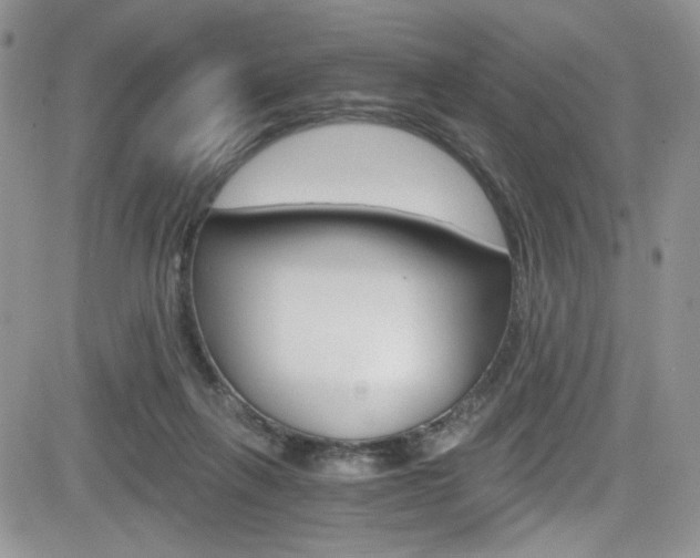X0000084530263200702230846