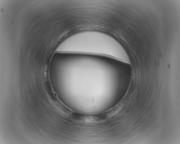 X0000084530264200702230846