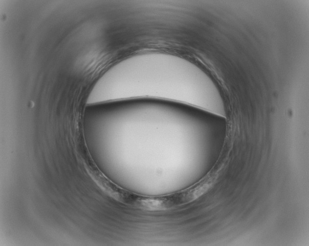X0000084530265200702230846