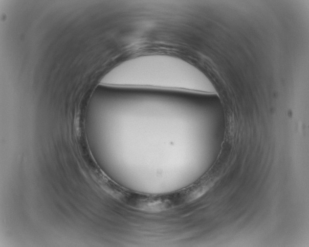 X0000084530267200702230846
