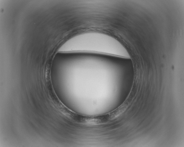X0000084530268200702230846
