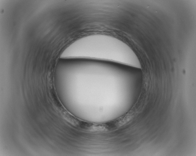 X0000084530270200702230846