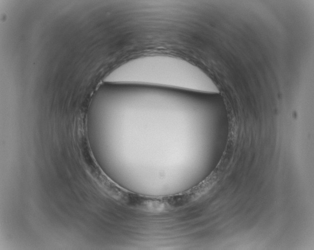 X0000084530272200702230846