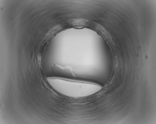 X0000084530281200702230846