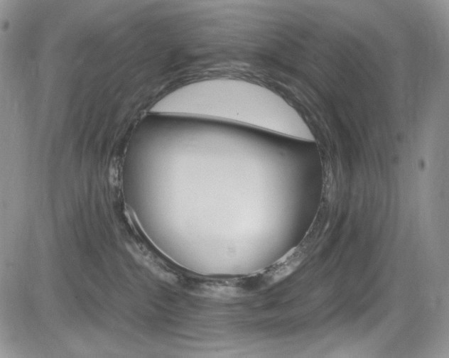 X0000084530284200702230846