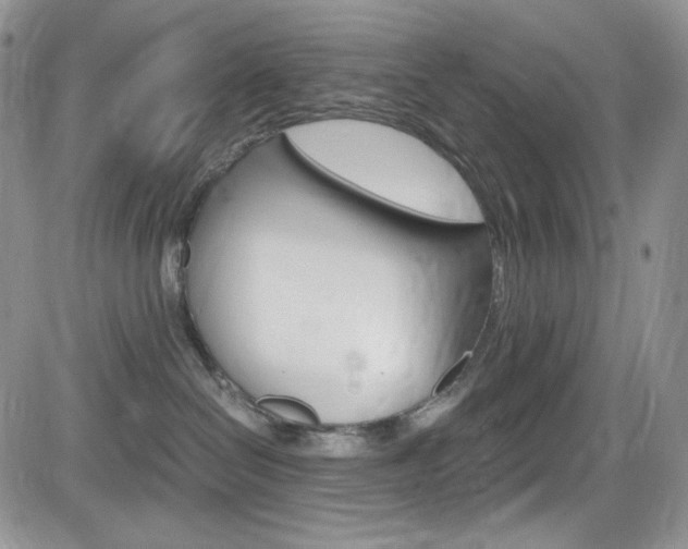 X0000084530286200702230846