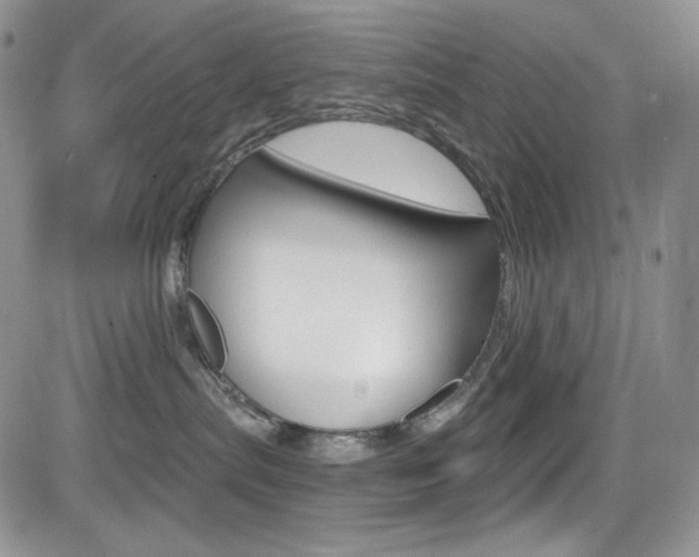 X0000084530287200702230846