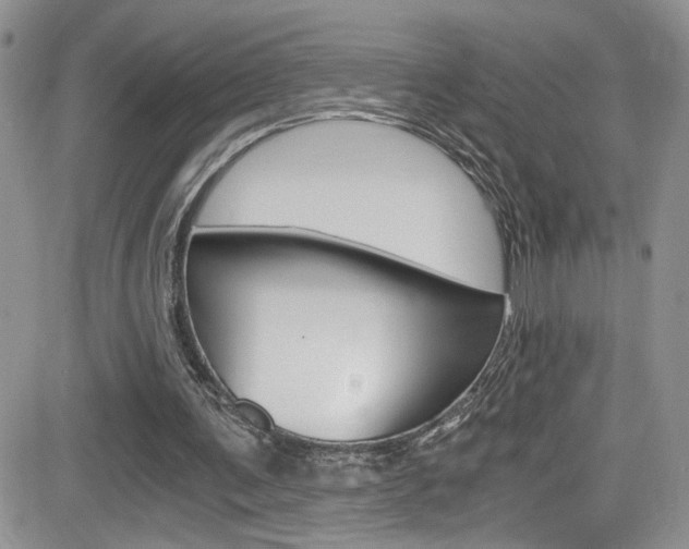 X0000084530291200702230845
