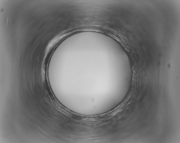X0000084530294200702230845