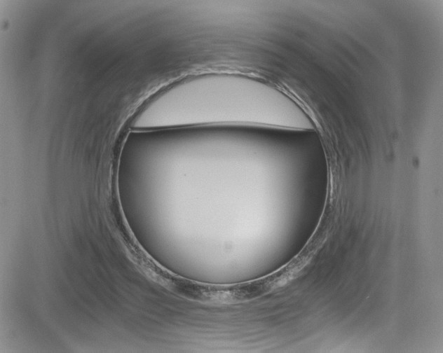 X0000084530301200702230845