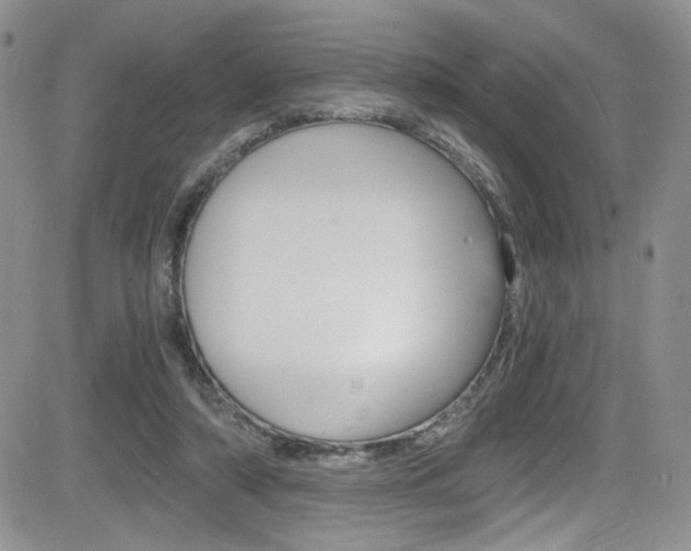 X0000084530306200702230845