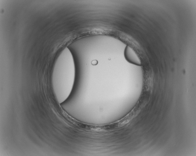 X0000084530310200702230845