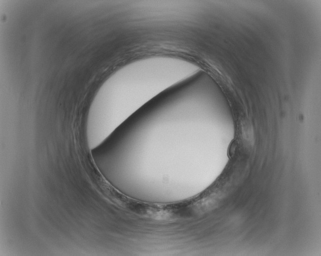 X0000084530311200702230845