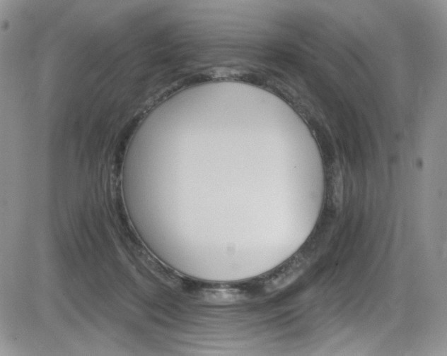 X0000084530316200702230845