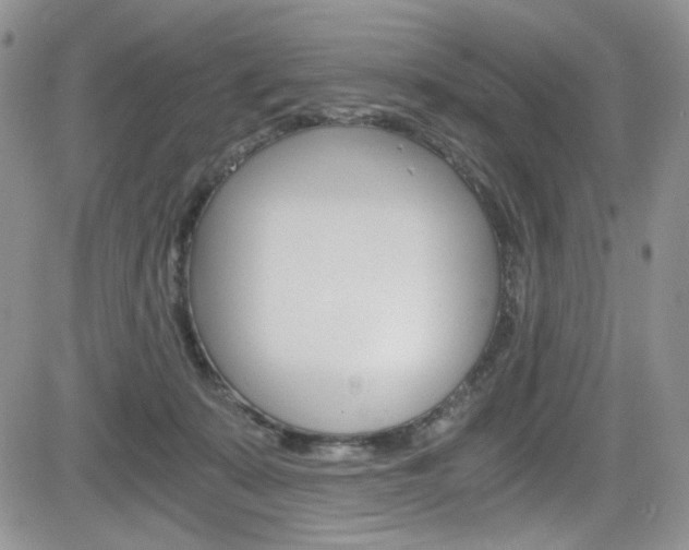 X0000084530319200702230845