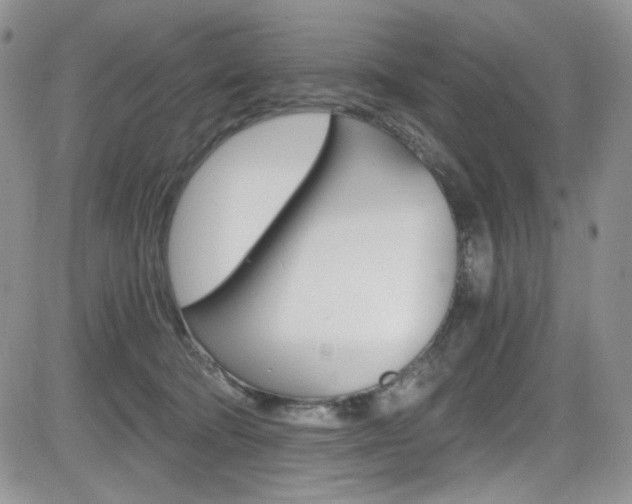 X0000084530322200702230845