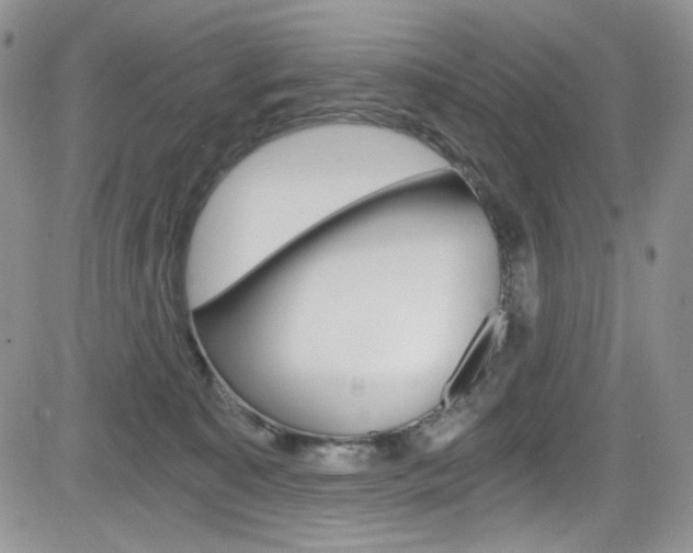 X0000084530323200702230845