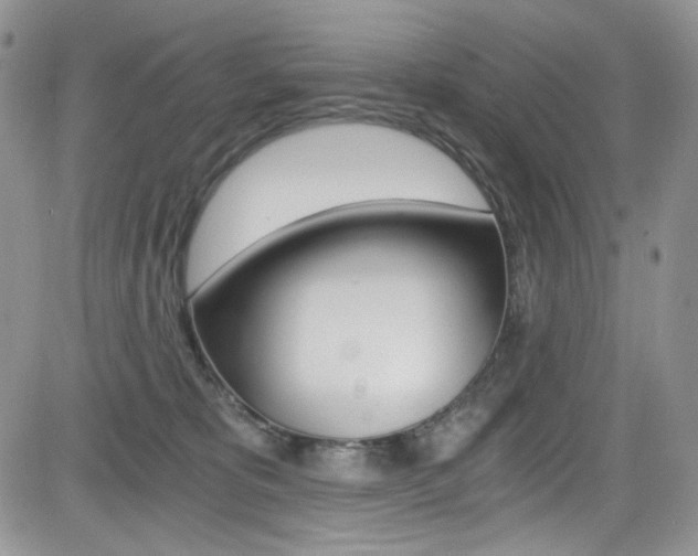 X0000084530325200702230845