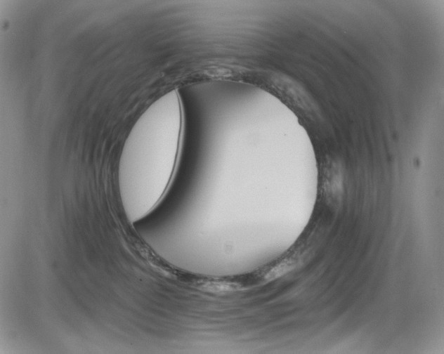 X0000084530332200702230845