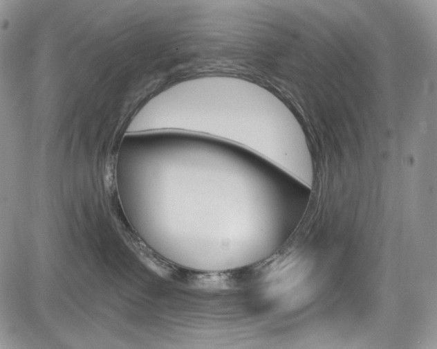 X0000084530335200702230845