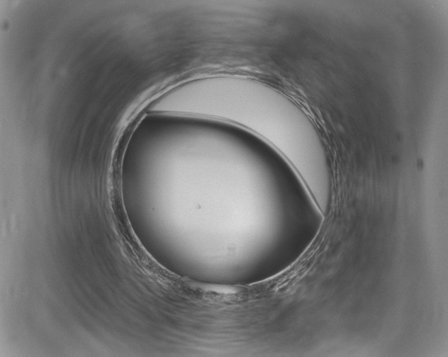 X0000084530340200702230844