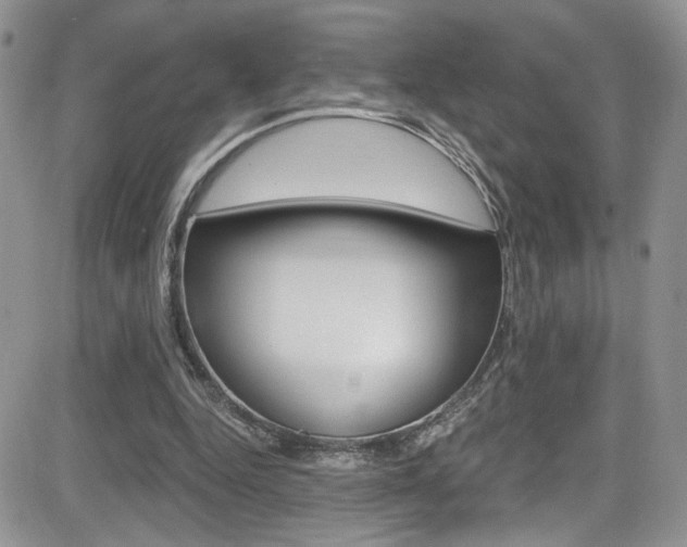 X0000084530344200702230844