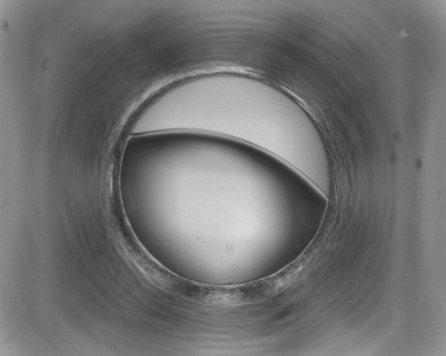 X0000084530350200702230844
