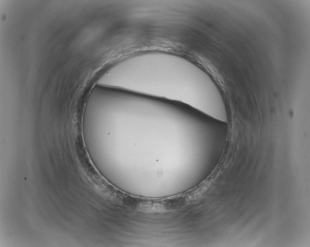 X0000084530354200702230844