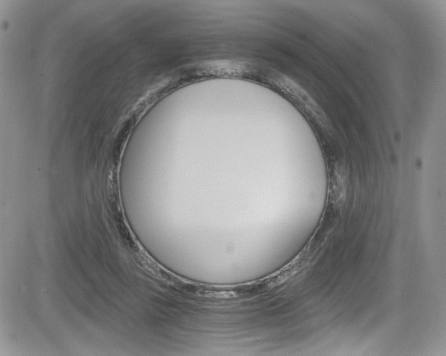 X0000084530355200702230844