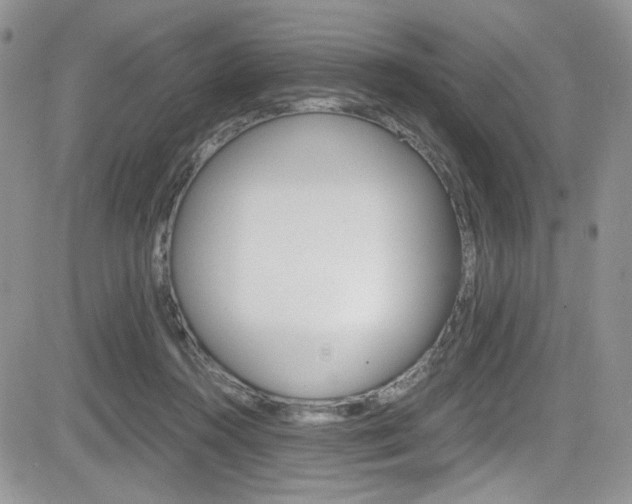 X0000084530360200702230844