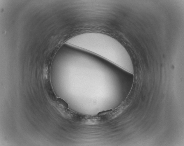 X0000084530368200702230844