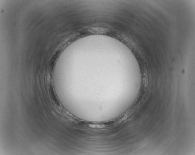X0000084530371200702230844