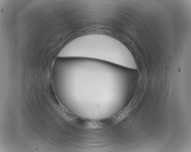 X0000084530372200702230844