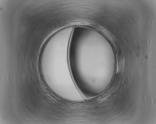 X0000084530387200702230844