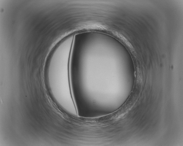 X0000084530391200702230844