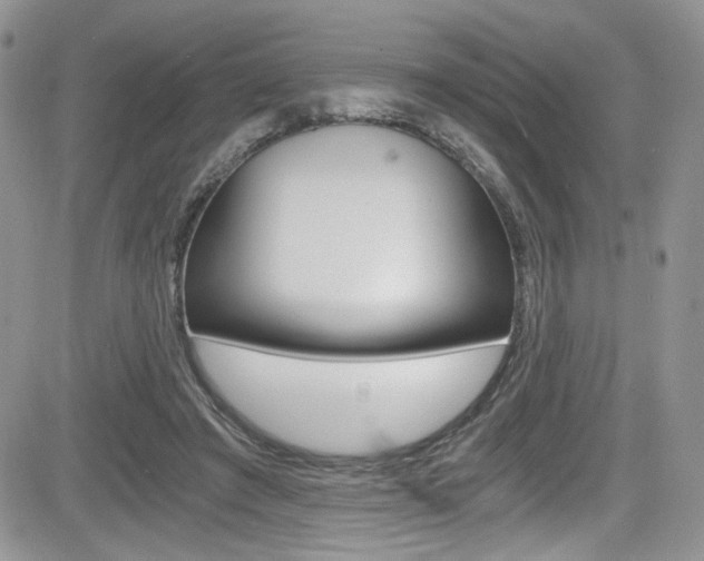 X0000084530401200702230843