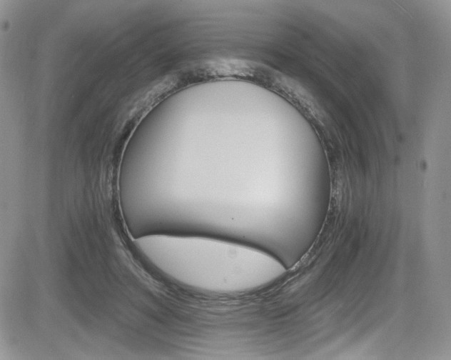X0000084530402200702230843