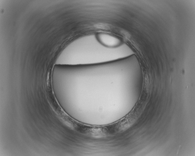 X0000084530406200702230843