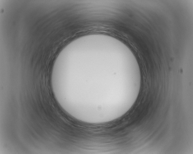 X0000084530411200702230843