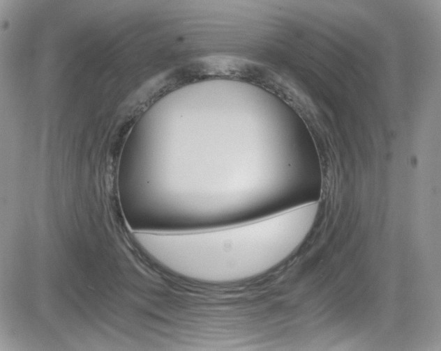 X0000084530413200702230843
